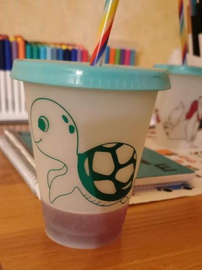 verre tortue